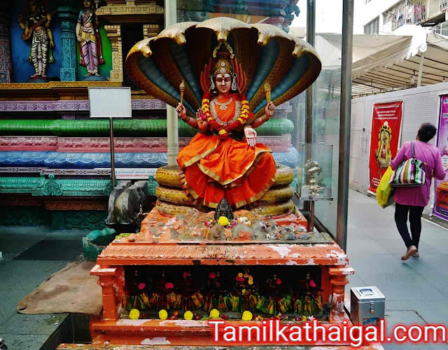 கழுதை அறியுமா கற்பூர வாசனை