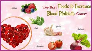 Foods to Increase Blood Platelets