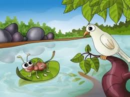 मुंगी व कबुतर