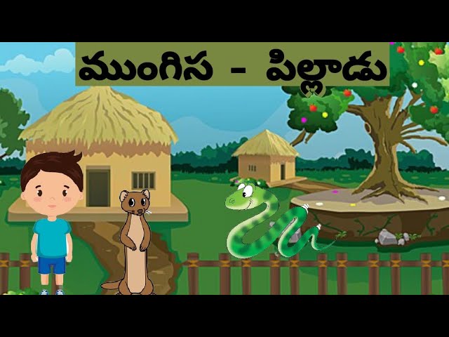 ముంగిస - పిల్లాడు