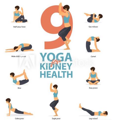 Yoga for Healthy Kidney