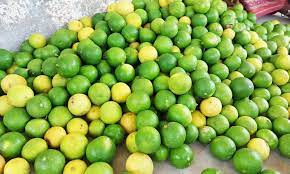 தேசிப்பழம்