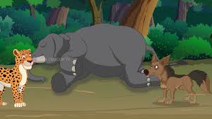 Chacal y el elefante muerto