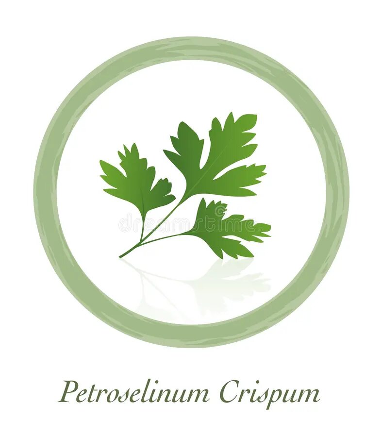 Parsley (Petroselinum crispum)