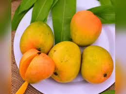 மாம்பழம் - மல்கோவா