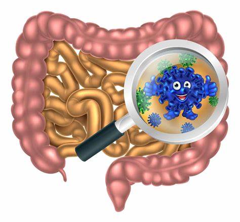 Balancing gut bacteria