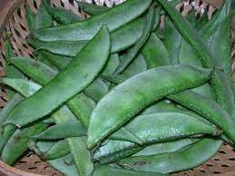 அவரைக்காய்