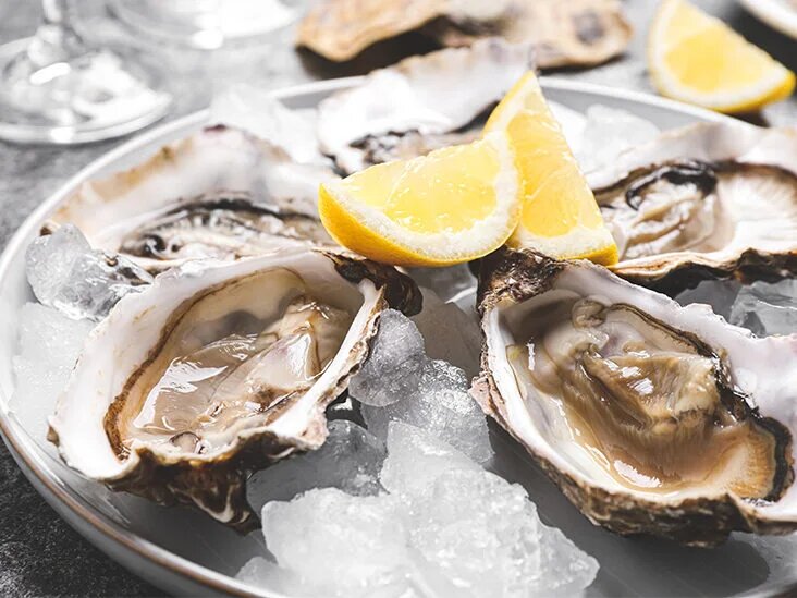 Oysters