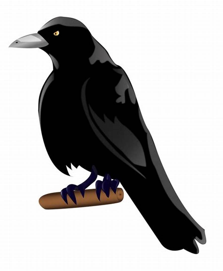 The Mean Crow