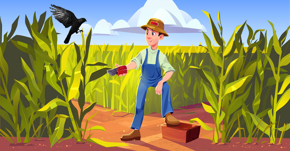 कौआ - अनोखा दोस्त