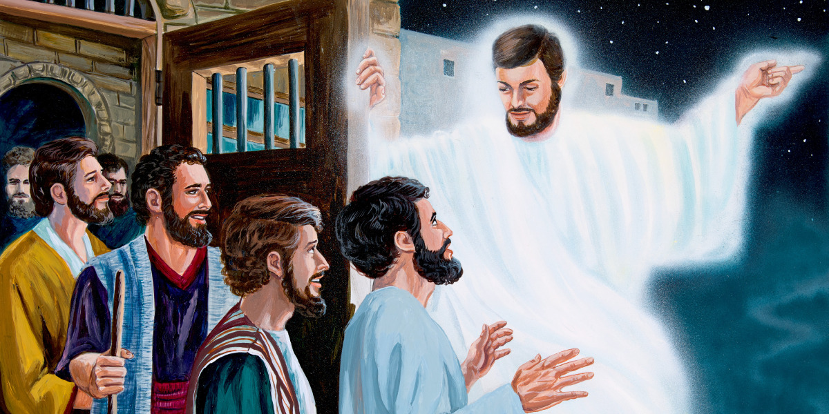 சிறையிலிருந்து விடுதலை