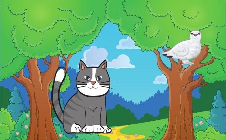 तपस्विनी बिल्ली