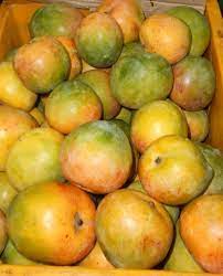 மாம்பழம் - ருமானி