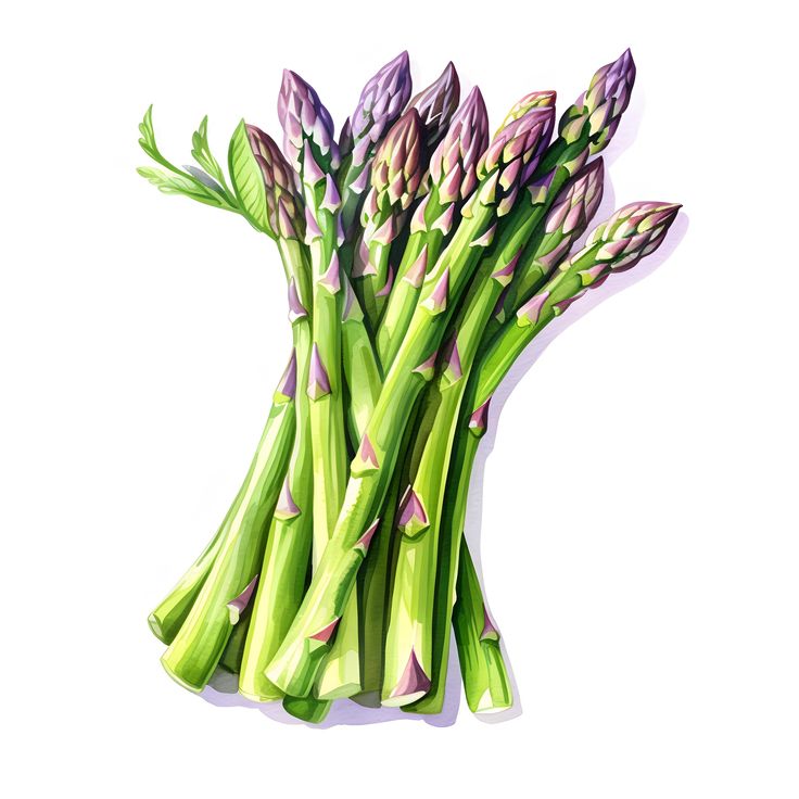 मूत्र विकृति