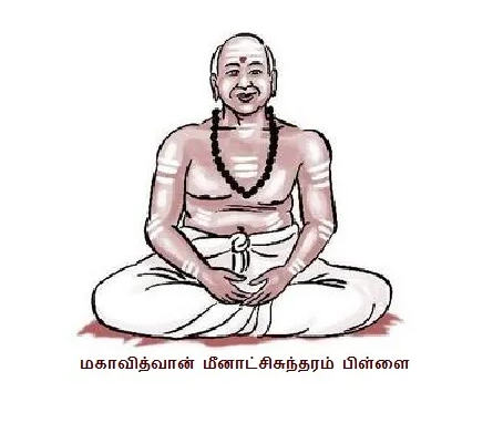 மீனாட்சிசுந்தரம் பிள்ளை
