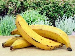 வாழைப்பழம் - நேந்திரம் பழம்