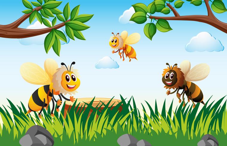 The Bug and The Poor Flea