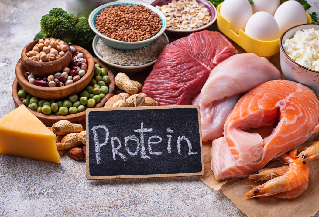 Protein Based Foods